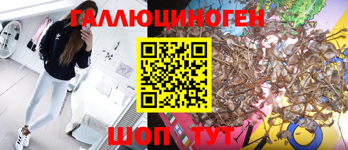 Зерноград  Псилоцибиновые грибы Cubensis  магазин продажи наркотиков  Вход с VPN 